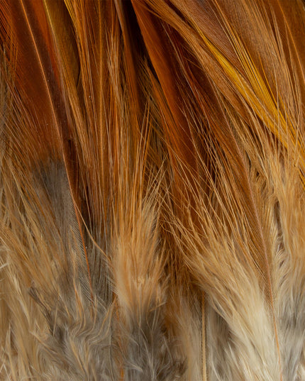 FutureFly Rooster Saddle Feather