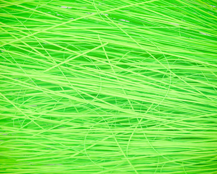 Saltwater Electric Wing Hair