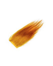 Lion Yellow