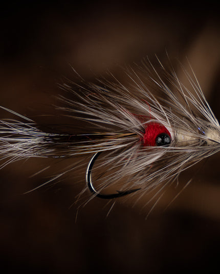 FutureFly Vaskebjørnen