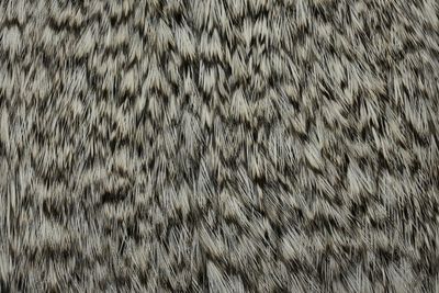 Whiting Coq de Leon Rooster Cape - Grizzly