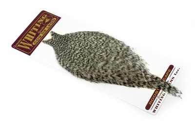 Whiting Coq de Leon Rooster Cape - Grizzly