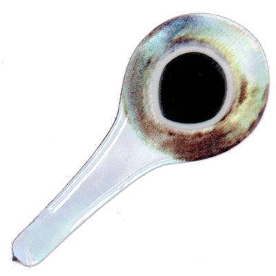 Pro Sportfisher 3D Tabbed Eyes - Silver/Yellow