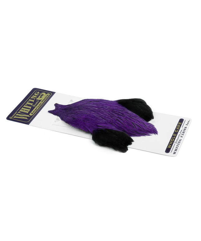 Whiting American Rooster Cape - Dyed Purple