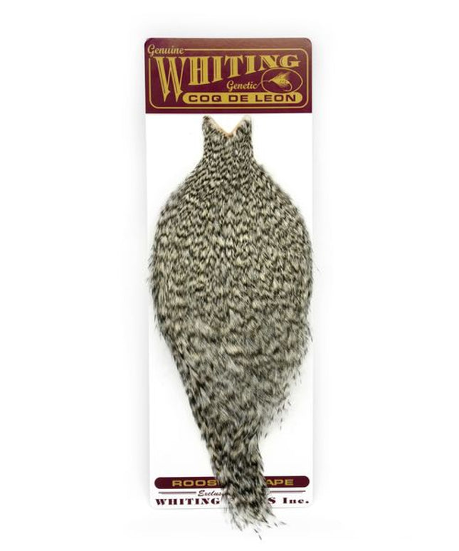 Whiting Coq de Leon Rooster Cape - Grizzly