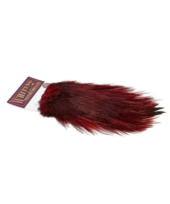 Whiting Coq de Leon Bronze Saddle - Dyed Golden Pheasant Red