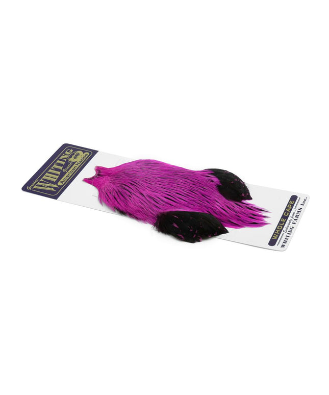 Whiting American Rooster Cape - Dyed Pink