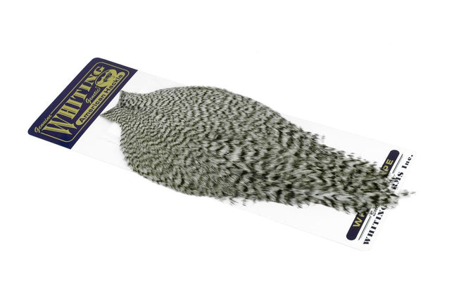 Whiting American Rooster Cape Grizzly
