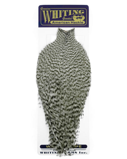 Whiting American Rooster Cape Grizzly