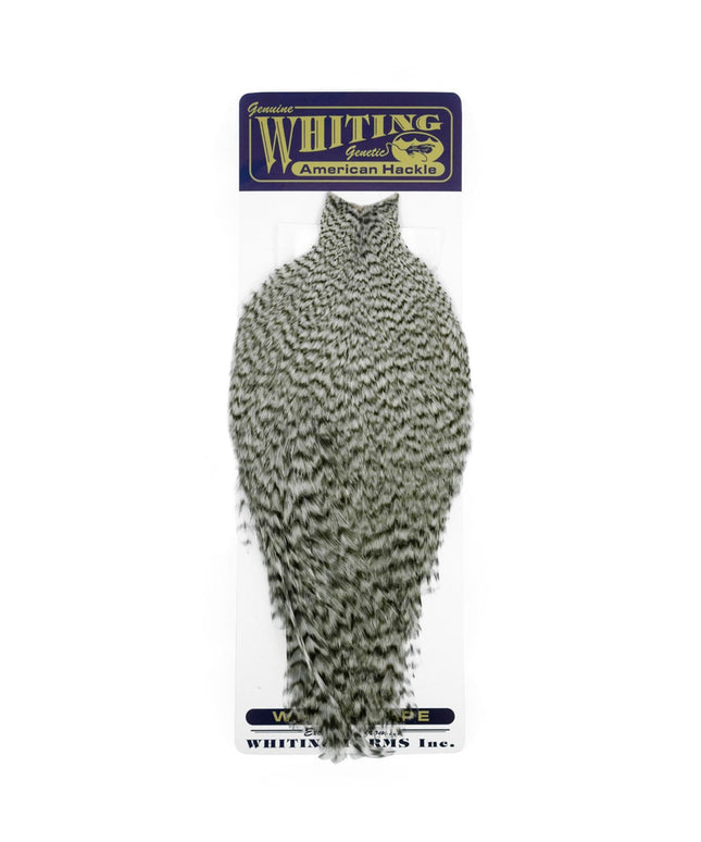 Whiting American Rooster Cape Grizzly