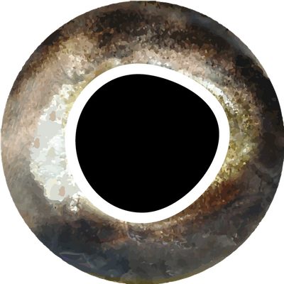 Pro Sportfisher Cool Eyes - Silver
