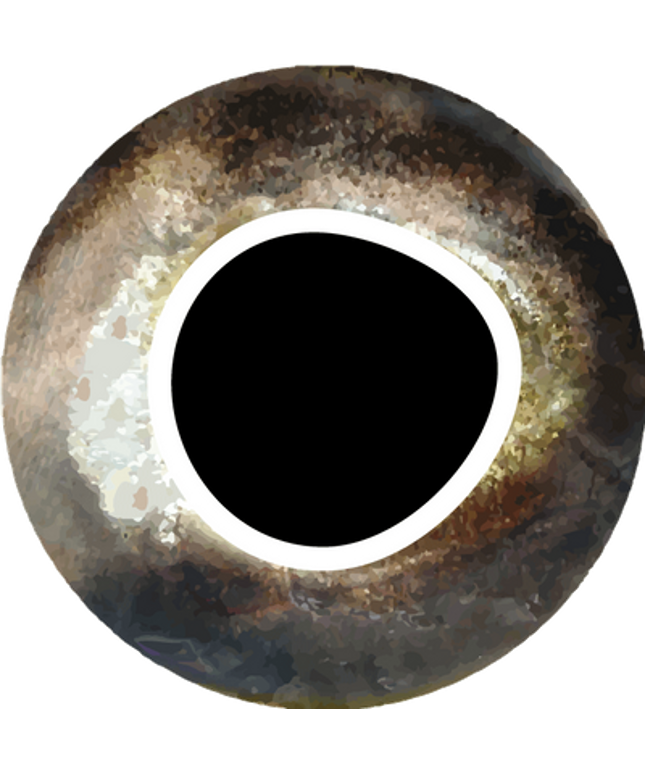 Pro Sportfisher Cool Eyes - Silver